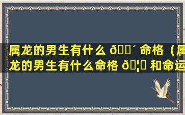 属龙的男生有什么 🌴 命格（属龙的男生有什么命格 🦈 和命运）